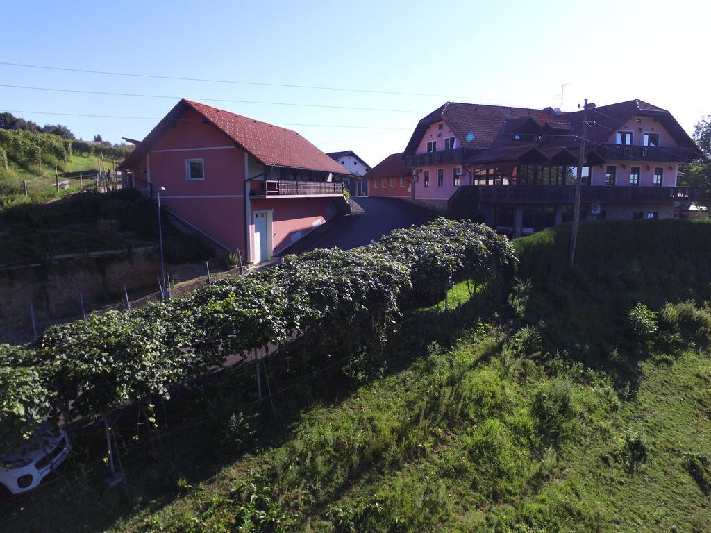 Guesthouse Kaucic Benedikt v Slovenskih Goricah Luaran gambar