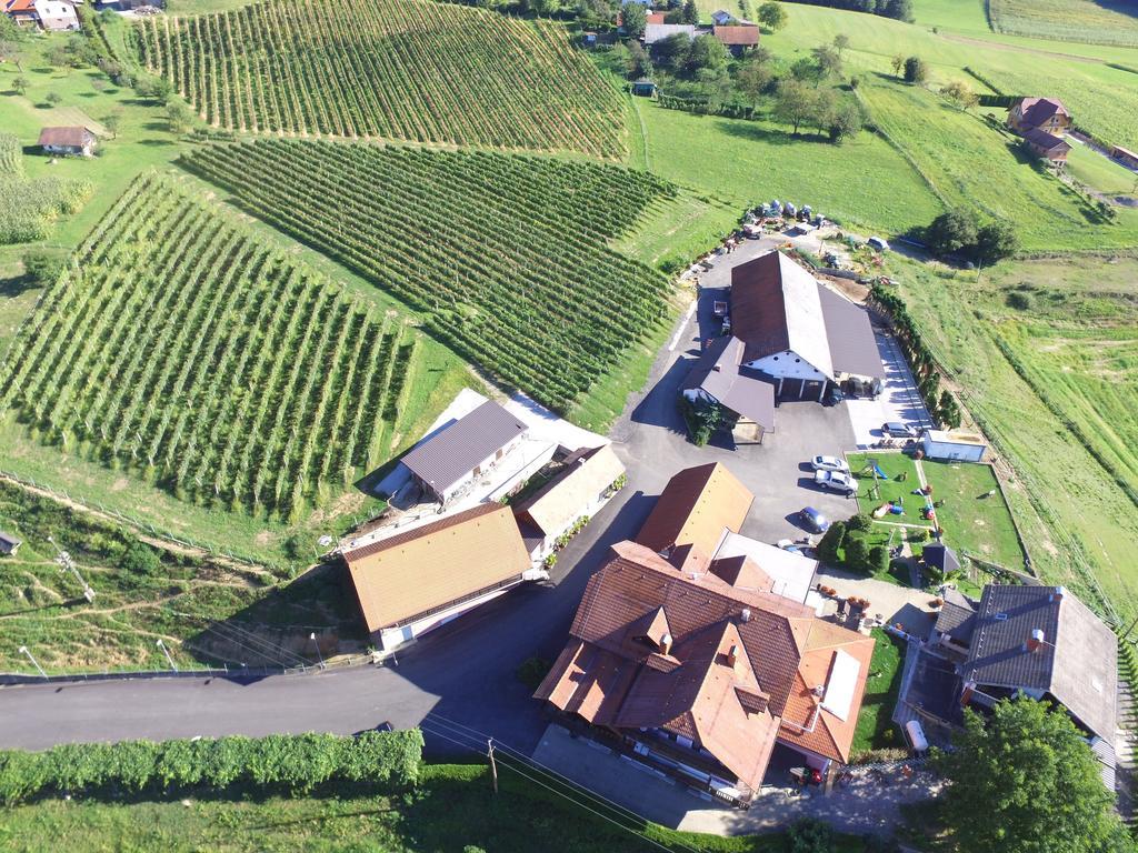 Guesthouse Kaucic Benedikt v Slovenskih Goricah Luaran gambar