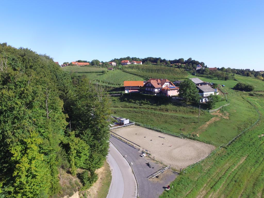 Guesthouse Kaucic Benedikt v Slovenskih Goricah Luaran gambar
