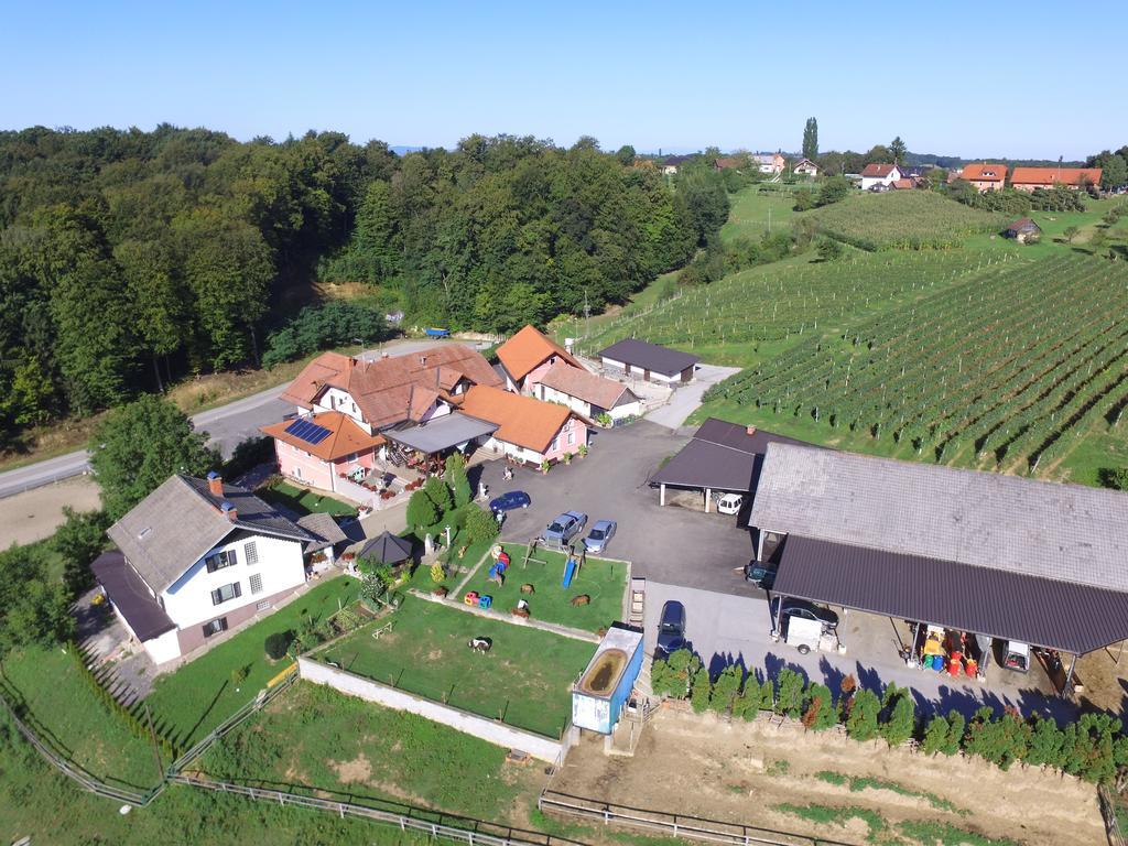 Guesthouse Kaucic Benedikt v Slovenskih Goricah Luaran gambar
